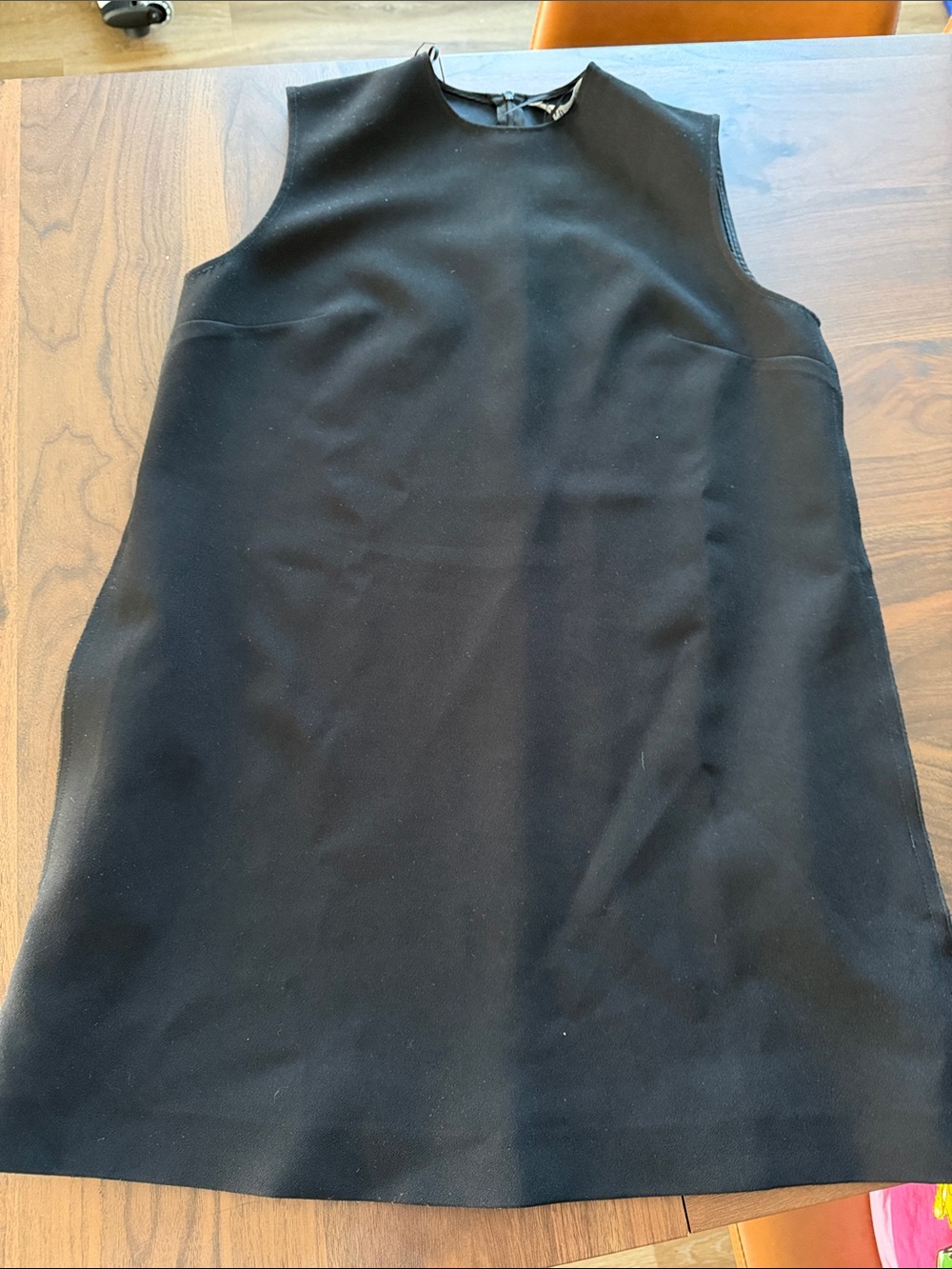 Zara Black Sleeveless Mini Shift Dress